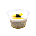 Vegan Mango Chia PROTEIN Parfait